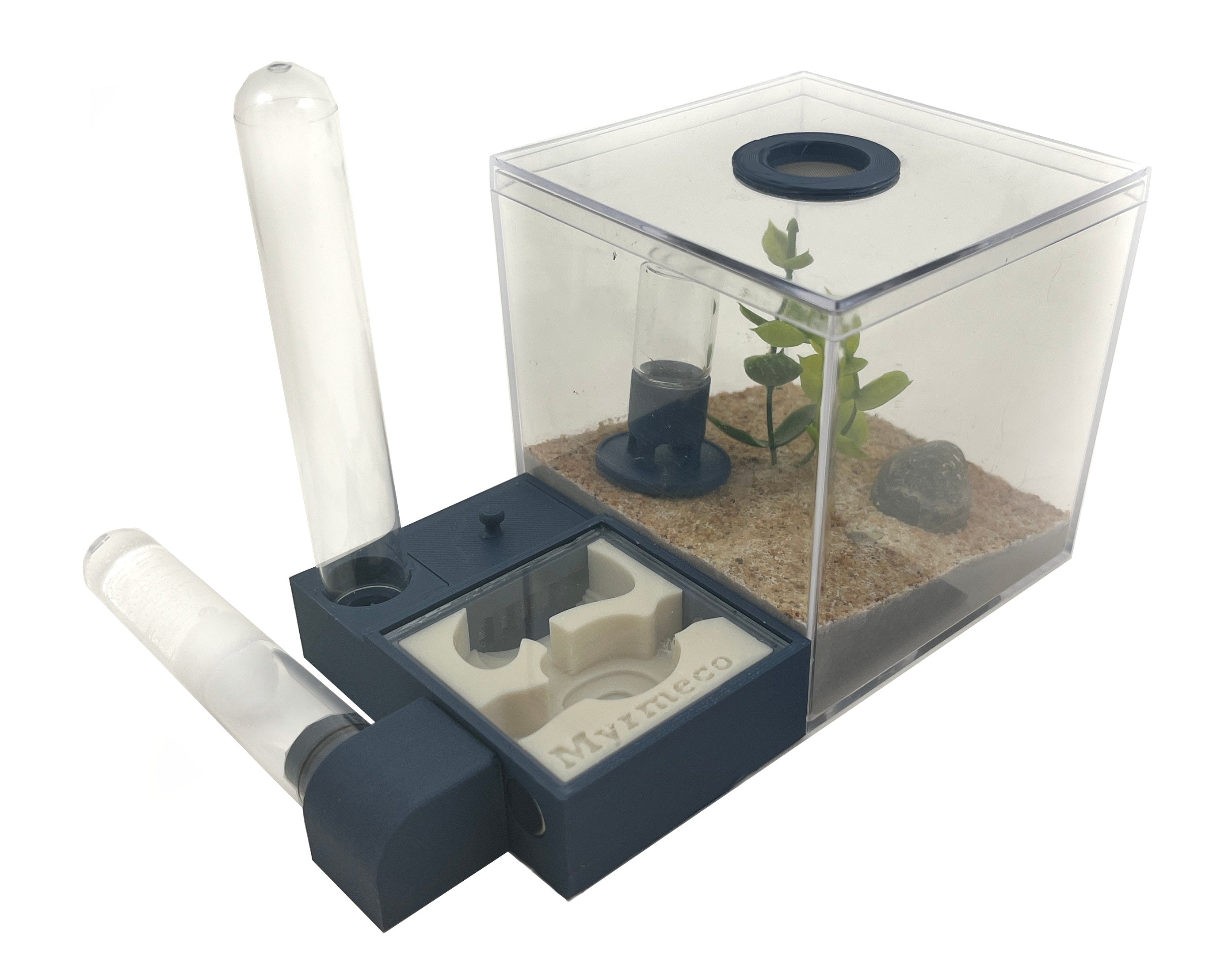 Formicarium - Starter Kit – Myrmeco